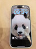 Apple/苹果 iPhone 17 256GB 鼠尾草绿色 支持移动联通电信5G 双卡双待手机 实拍图