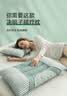 艾薇决明子磁石硬枕头枕芯护颈椎助睡眠 一只装 水绿 45*74cm 实拍图