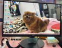 飞利浦 21.5英寸 全高清75Hz 窄边低蓝光不闪屏壁挂 HDMI/VGA 网课学习 办公显示器 商务电脑显示屏221i8 实拍图
