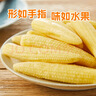 小熊（Bear）家用冷水壶高硼硅玻璃杯防烫硅胶底1.8L大容量凉水壶杯子CX-JB071 实拍图
