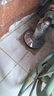 海立厨房下水道防臭封口神器卫生间洗衣机水管防溢水硅胶密封塞圈F40 实拍图
