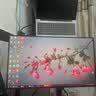 戴尔（DELL）23.8英寸显示器 UltraSharp 商用办公电脑显示器屏 IPS 120Hz 高刷 Type-C15W手机充电 U2424H 实拍图