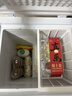 北极熊（BEIJIXIONG）冰柜家用冷柜小型一级能效全冷冻冷藏两用卧式储奶母乳速冻保鲜节能省电100升/200升/300升 单门单温61升【万人力荐 一级能效】 61L 实拍图