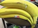 佳农进口大把香蕉净重2.4斤 家庭装 源头直发 端午生鲜水果礼盒 包邮 实拍图