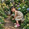 ECAC儿童洞洞鞋女童2026新款夏季女孩外穿凉鞋男孩防滑宝宝包头凉拖女 白玫红【棉花糖小女孩】 28-29 【内长约18cm】 实拍图