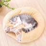 约克先生宠物零食猫咪磨牙化毛膏排毛球粒营养即食鲜鸡肉冻干猫草棒50g 实拍图