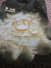 babycare金山茶花纸尿裤S58片(4-8kg)新生儿婴儿尿不湿超薄透气轻柔花苞裤 实拍图