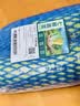 西葫芦 约700g 实拍图