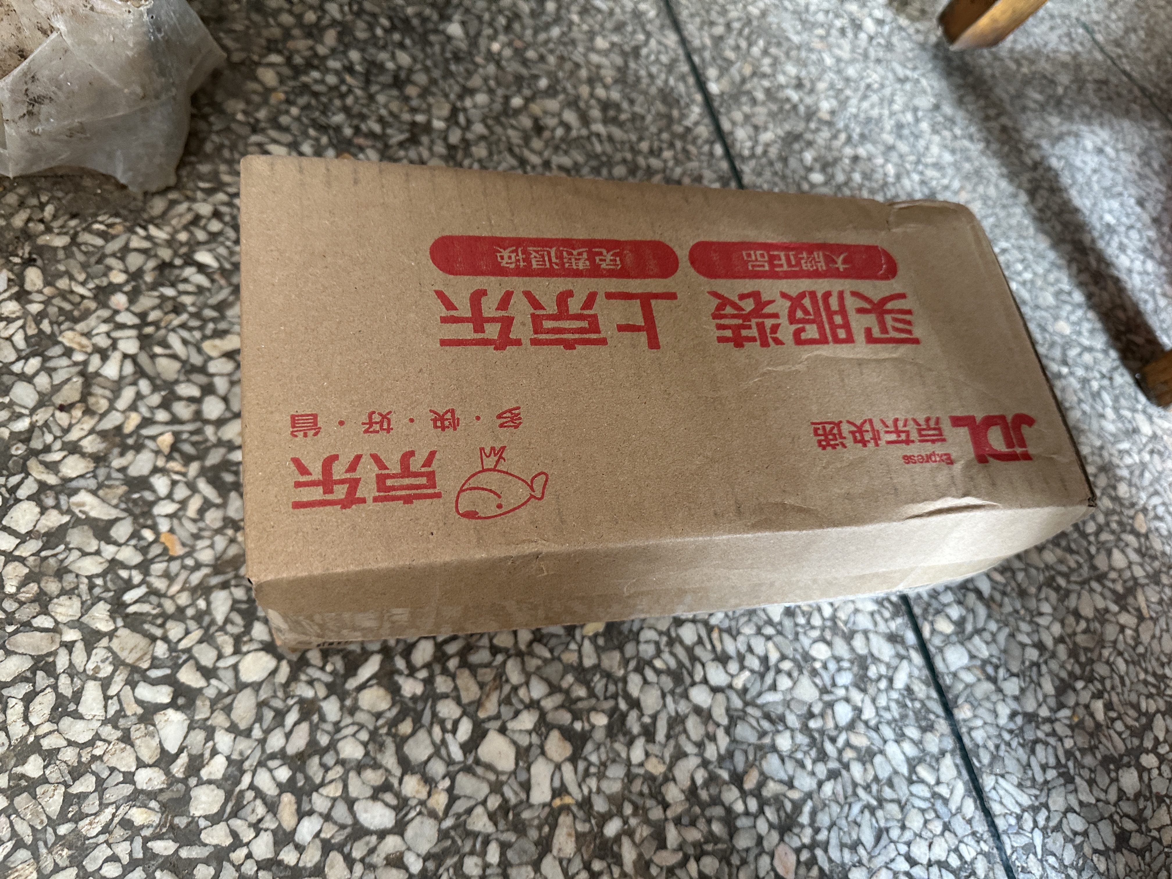 德高 彩瓷美缝剂十大品牌地砖瓷砖防水防霉勾缝填缝美缝胶 亚浅灰 实拍图