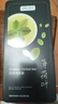 贡苑薄荷叶茶【保鲜铁罐310g】清凉新鲜干薄荷可食用搭菊花柠檬泡水喝 实拍图