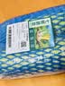 西葫芦 约700g 实拍图