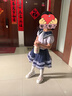 戴维贝拉库洛米联名女童套装公主裙儿童裙子夏季童装女孩衣服 实拍图