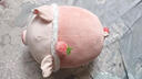 名创优品（MINISO）小猪B-BO草莓趴姿毛绒公仔儿童玩具玩偶娃娃抱枕靠枕生日礼物女 实拍图