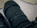 适马（SIGMA）16-300mm f3.5-6.7 DC OS ｜Contemporary 半画幅 远摄变焦镜头 旅游风光人像（索尼E卡口） 实拍图