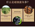 卡露传奇法国进口红酒15度超级波尔多AOC干红葡萄酒750ml单瓶自饮送礼 实拍图