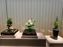 豪思克普指示牌A4【银色直角】立式标识牌立牌展示架广告牌引导牌水牌不锈钢可伸缩标识牌HS-GGP1 实拍图