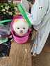 维德（WELLDAY）儿童生理盐水洗鼻器海盐水鼻腔喷雾鼻窦炎喷剂鼻塞清洗器100ml*2 实拍图