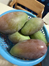 京鲜生攀枝花凯特芒果 净重4.5斤 单果300g+ 新鲜水果 源头直发 实拍图