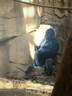 神气小鹿小冰被2.0夏凉被A类凉感被子夏季单双人空调被可水洗薄被芯夏被 小冰被2.0玻尿酸丨凉柔双感+润肤柔滑+A类母婴-天蓝 200*230cm 实拍图