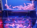 京东京造 电动指甲刀Pro 全自动指甲剪修甲打磨抛光神器指甲钳老年人成人 实拍图