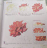 经典全集《彩铅花鸟》绘画入门教程书超写实手绘花卉植物草临摹画册花之绘成人0零基础自学教材杨建飞主编 实拍图