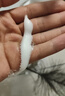 贝亲（Pigeon）洗发水沐浴露 含桃叶精华 婴儿洗发沐浴二合一 500ml IA209 实拍图