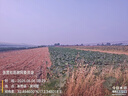 纽曼S100录音笔笔形可连手机小型录音神器专业高清降噪录音器会议记录转文字超长待机商务便携式设备8G 实拍图