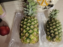 佳农黑钻菠萝1粒装 菲律宾凤梨 净重2斤+ 源头直发 端午水果礼盒 包邮 实拍图