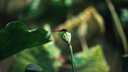 适马（SIGMA）Art 85mm F1.4 DG DN 全画幅无反 大光圈定焦镜头 人像肖像特写（L卡口） 实拍图