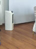 海尔（Haier） 空调扇冷风扇加湿制冷机单冷风机无叶风扇制冷气扇家用客厅卧室节能制冷器冷气机小空调 【强效制冷+摆风加湿】机械款HFL-LG1822 实拍图