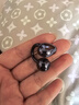 华为FreeClip [内含 世界杯 金杯口哨钥匙链 周边 ] 耳夹耳机 星空黑 礼盒款  实拍图