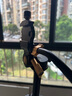 轻装时代Q08S专业手柄液压阻尼云台微单反相机摄影摄像视频演唱会拍摄直播通用三脚架滑轨便携三维全景云台 08S升级版【铝合金】 实拍图