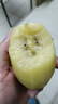 佳沛（zespri）新西兰金果 8粒 超大单果约175-204g 端午节礼物水果礼盒猕猴桃 实拍图