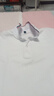 罗蒙男童短袖polo衫校园服饰春夏T恤女童班服 条纹白色短袖POLO衫160 实拍图