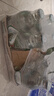 Chang 泰国原装进口 泰象苏打水原味325ml*24 玻璃瓶气泡水无糖整箱装 原味 325ml*24 玻璃瓶 实拍图