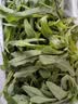 陶华碧老干妈  辣椒酱 干煸肉丝油辣椒260g 贵州特产 实拍图