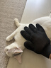 欢宠网撸猫手套梳毛宠物狗狗猫咪洗澡神器狗猫梳子刷子猫毛去浮毛防抓咬 实拍图