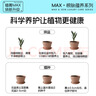 德沃多18L植物营养土通用养花土种菜有机土壤泥炭土绿植盆栽种植 实拍图