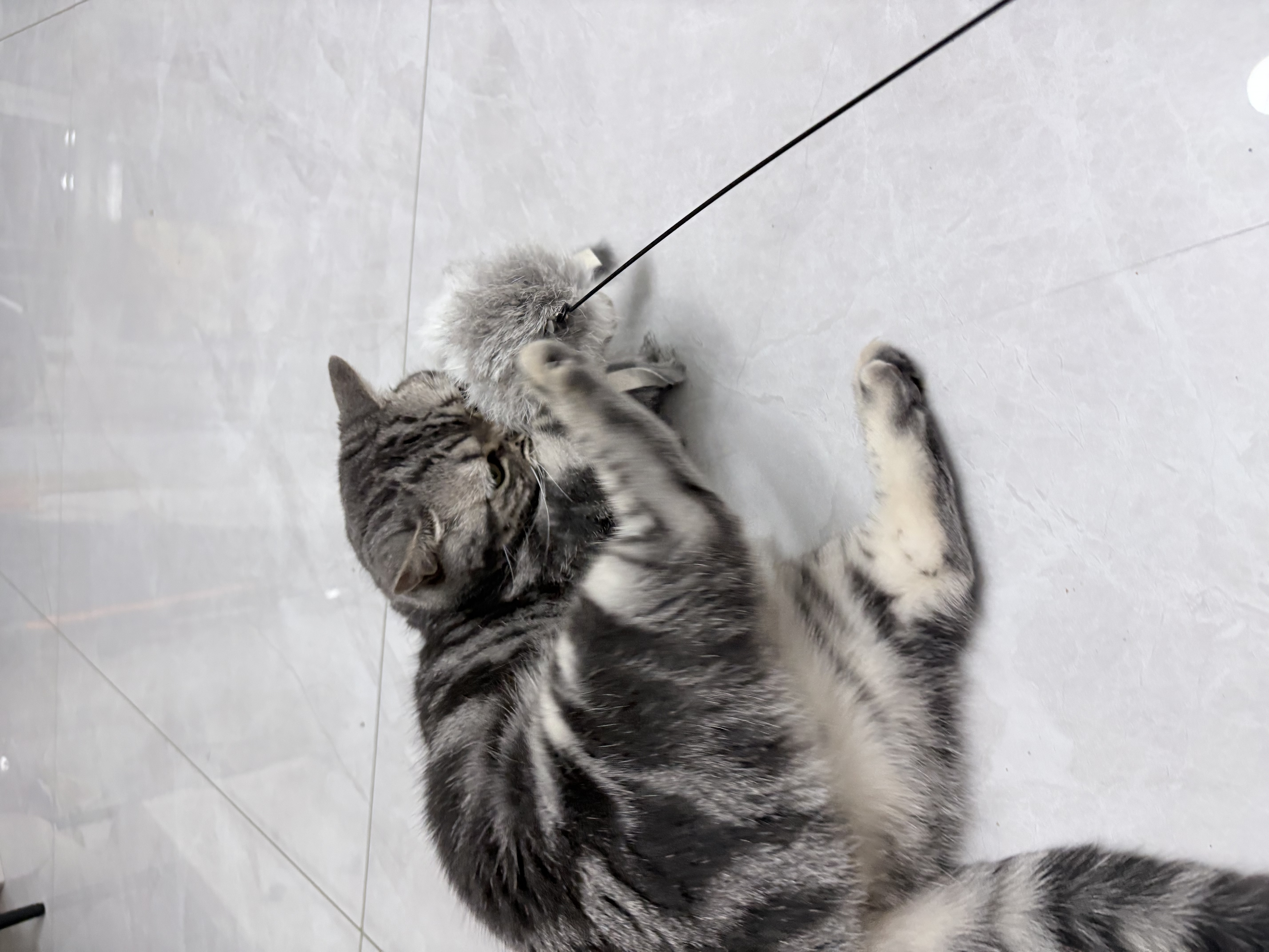 光多拉猫咪玩具兔毛八爪鱼逗猫棒自嗨解闷幼猫捕猎兔毛仿真章鱼丰荣玩具 实拍图