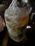 西王 食用油 玉米胚芽油 5L 非转基因物理压榨（新老包装交替发货） 实拍图