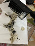 韩金靓易梳彩染发剂植物潮色非泡泡染发膏遮盖白发自己在家染纯男女士 自然黑 200ml*1瓶 【可盖白发】 实拍图