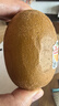 佳沛（zespri）新西兰  金奇异果6粒装 单果约88-103g 猕猴桃端午节礼物水果礼盒 实拍图