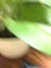 【绿萝盆栽】吸甲醛净化空气水培绿植物懒人花卉好养搬家礼物全 【实惠2盆】绿萝+原盆原土 整体含盆高度20-25cm 实拍图