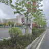 韩后茶蕊胜肽补水保湿水乳套装美白淡斑化妆品护肤品洁水乳喷雾礼物 实拍图