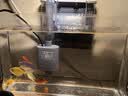 森森（SUNSUN）鱼缸过滤器壁挂式外置过滤泵水族箱过滤器HBL HBL-302 3W 实拍图