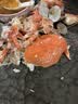 【活蟹】江食代三门青蟹 大公蟹满肉【5-6两/只】3只鲜活螃蟹海鲜礼盒自营水产源头直发 实拍图