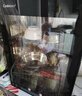 康宝（Canbo）消毒柜家用小型消毒碗柜高温烘干立式迷你台式餐具碗筷收纳柜厨房消毒机【政府补贴】XDR53-TVC1 实拍图