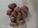 【真便宜】云南红皮土豆高原黄心土豆马铃薯红皮黄心洋芋减脂蔬菜 红皮土豆 2斤 单果1-3两 实拍图