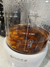 小质价保618养生壶1.5L全玻璃花茶壶0胶水0金属恒温煮茶器办公室热牛奶神器保温壶家用烧水壶电热水壶 实拍图