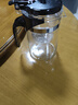 飘逸壶泡茶壶耐热高温玻璃沏茶过滤内胆冲茶器家用茶具套装 飘逸杯500mL1个 实拍图